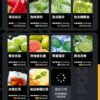 微信图片_20241102093251.png RELX悅刻六代煙彈3顆入 / 不通用一代 / 就是這5%薄荷完整了我靈魂/