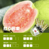 【ILIA哩啞煙彈】一代通用 ✨濃厚度的冠軍💖
